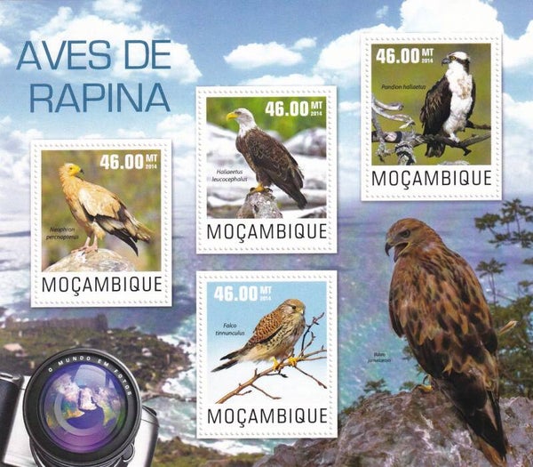 Mozambique - 2014 - Roofvogels - Postfris