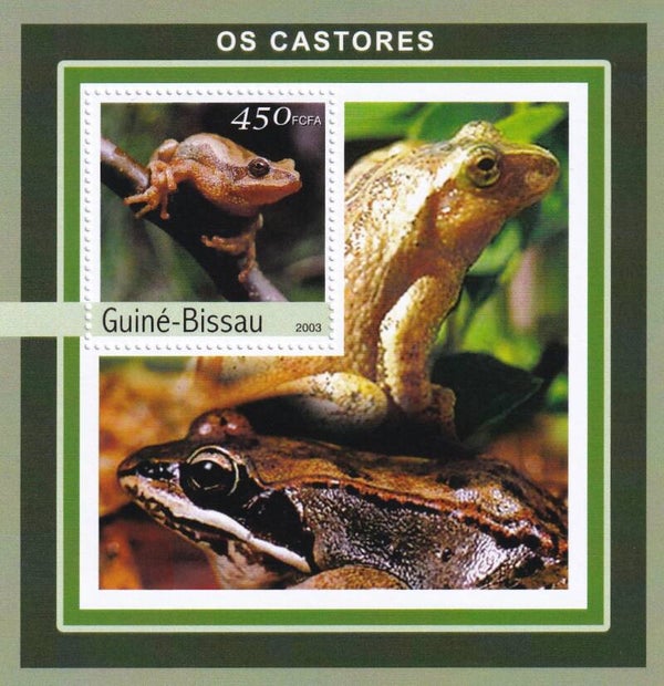 Guine Bissau - 2003 - Kikkers - Postfris