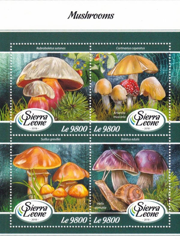 Sierra Leone - 2018 - Paddestoelen - Postfris