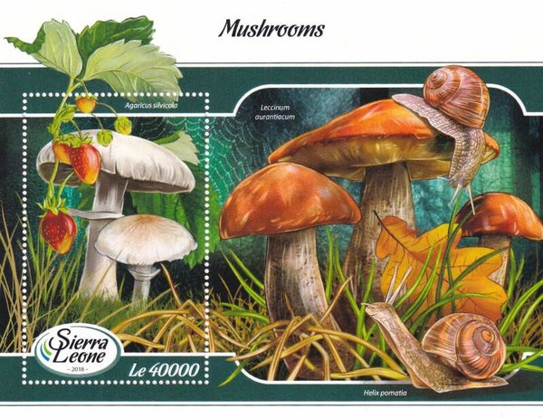 Sierra Leone - 2018 - Paddestoelen - Postfris