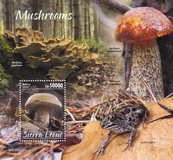 Sierra Leone - 2020 - Paddestoelen - Postfris