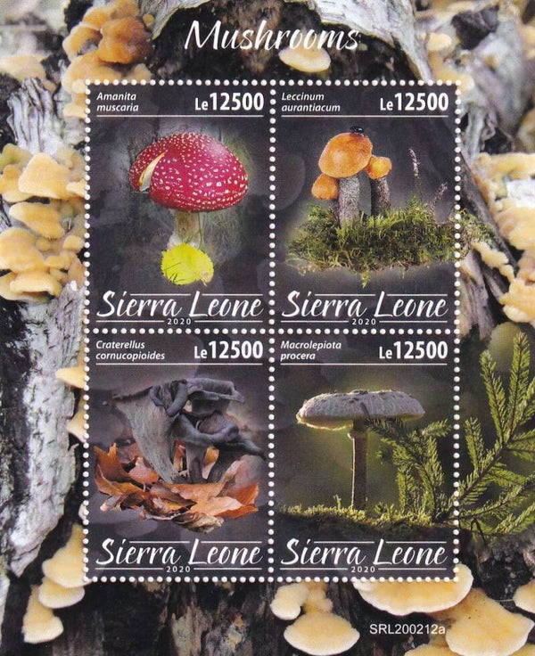 Sierra Leone - 2020 - Paddestoelen - Postfris