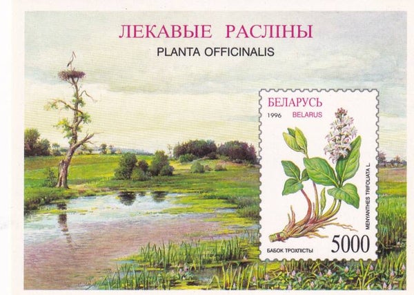 Belarus - 1996 - Planten - Postfris