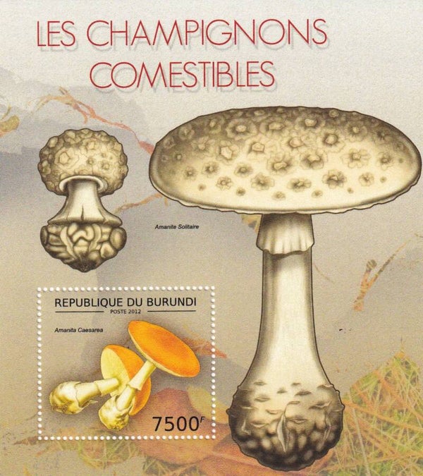 Burundi - 2012 - Paddestoelen - Postfris