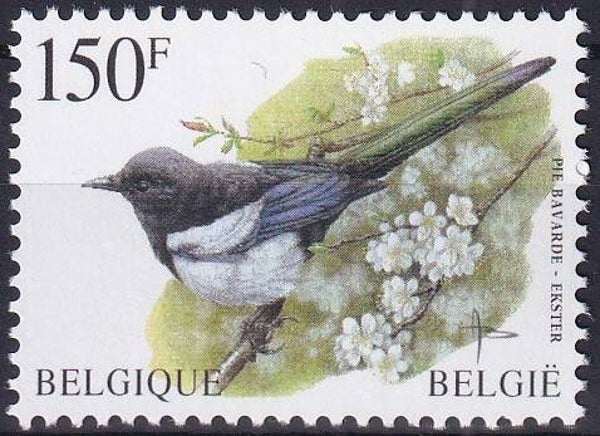 Belgie - 1997 - Vogel - Postfris