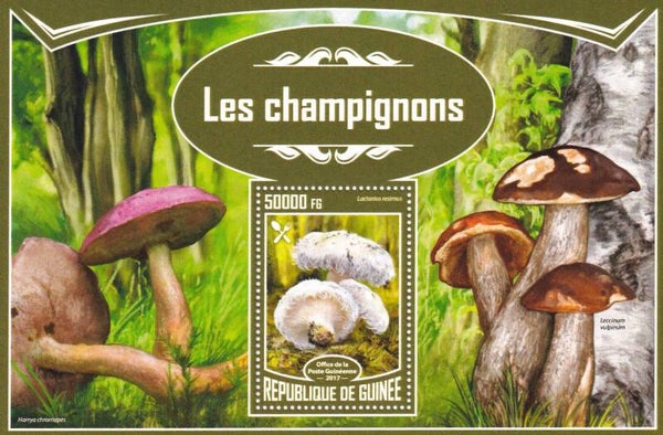 Guinee - 2017 - Paddestoelen - Postfris