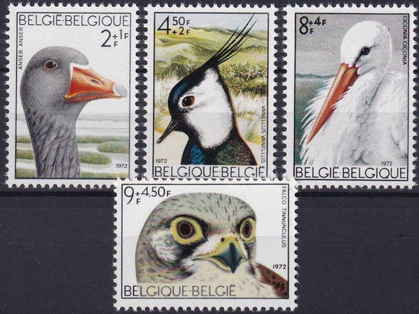 Belgie - 1972 - Vogels - Postfris