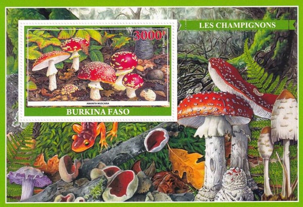 Burkina Faso - 2019 - Paddestoelen - Postfris