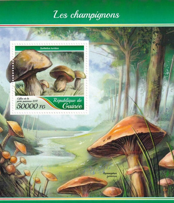 Guinee - 2017 - Paddestoelen - Postfris