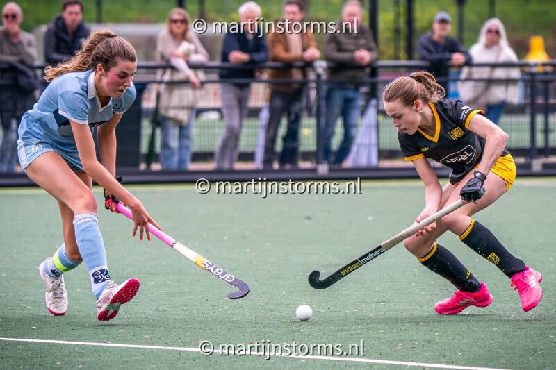 msa01656-standard-cca0os.jpg