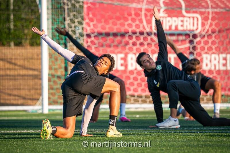 msa06993-standard.jpg