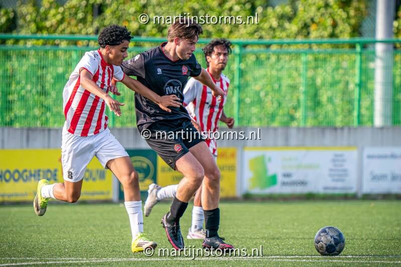 msa07668-standard-8q3jwc.jpg