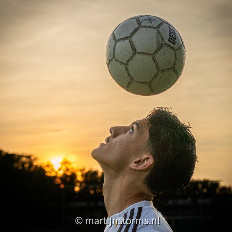 msb06568-standard-tqknly.jpg