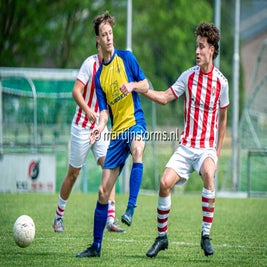 mst08844-standard.jpg