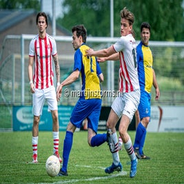 mst08878-standard.jpg
