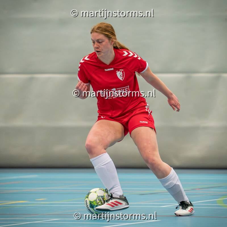mst08984-standard-ipdn67.jpg