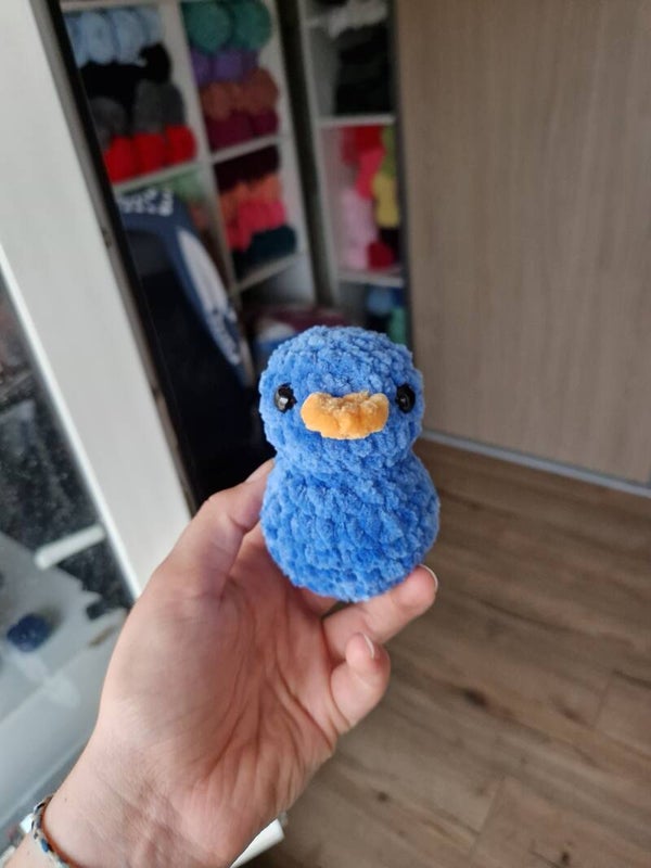 Canard personnalisé bleu