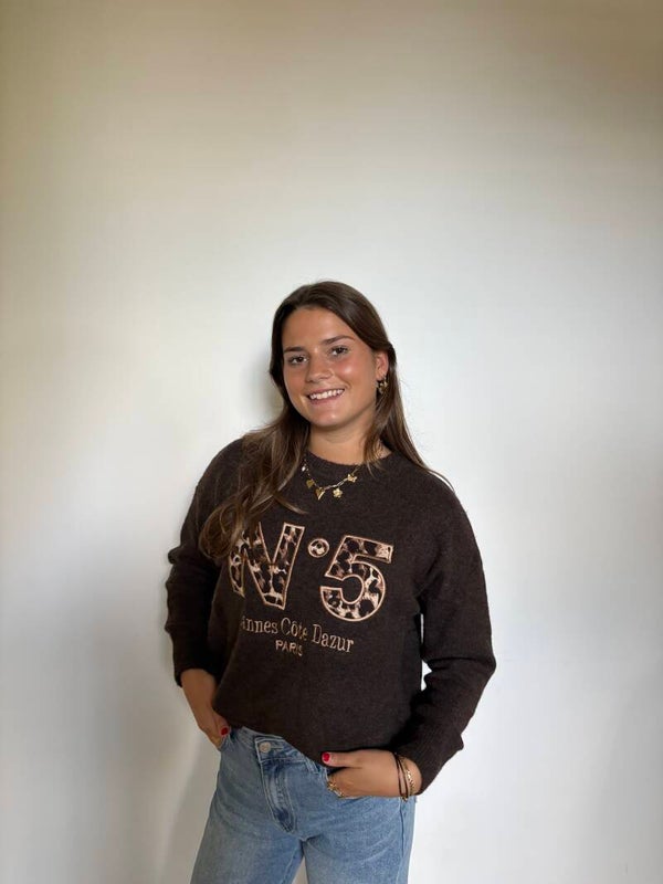 Sophie sweater bruin