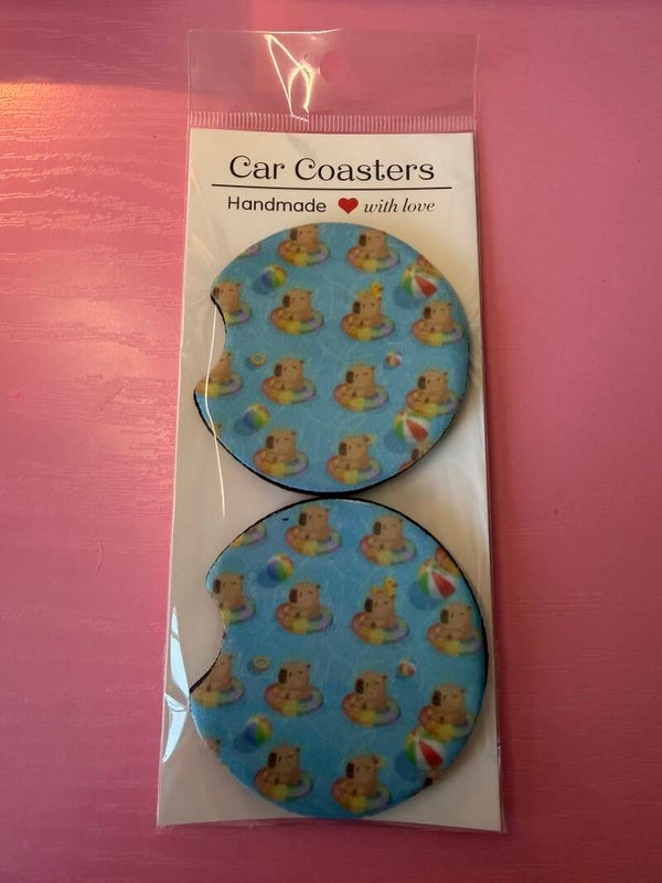 Capybara car coaster