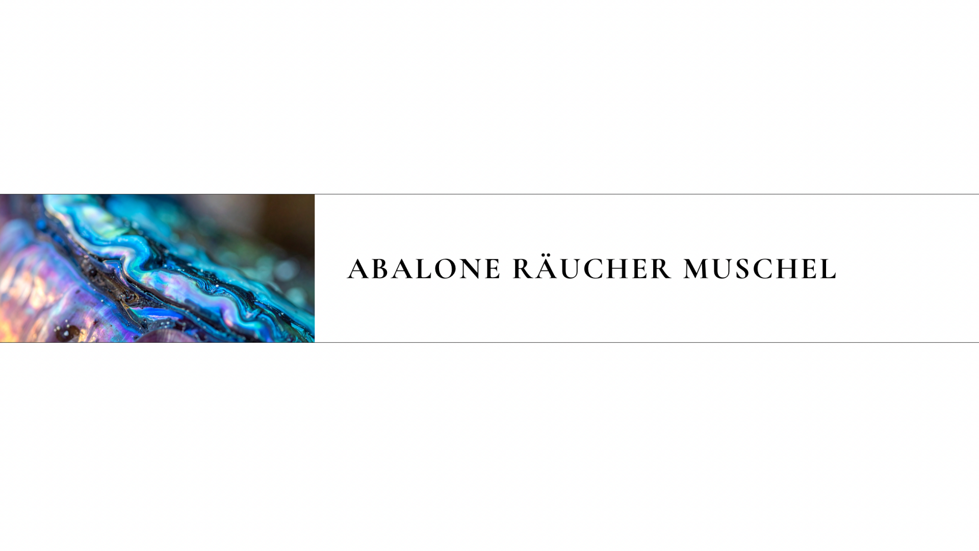Abalone Räuchermuschel – spirituelles Räuchern, Duft, Energiebalance & Reinigung