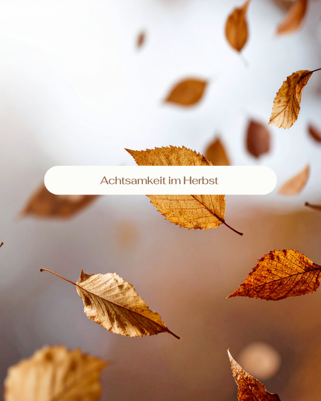 Achtsamkeit im Herbst: Wertvolle Wohlfühl-Tipps, spirituelle Rituale und kraftvolle Edelsteine für innere Ruhe und Balance im Seelenheil Onlineshop Österreich.