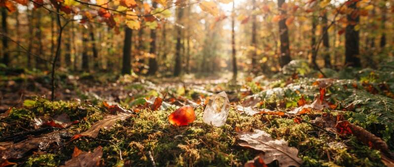 Edelstein im Herbst Oktober Edelstein, passende Heilsteine für die goldene Jahreszeit online entdecken, Seelenheil Onlineshop