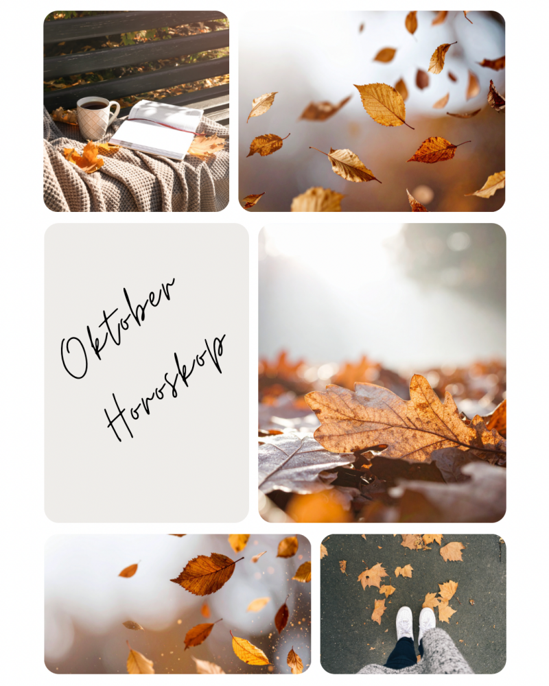 Oktober Horoskop, Edelsteine kaufen Sternzeichen, passende Heilsteine für dein Sternzeichen online bestellen, Seelenheil Onlineshop