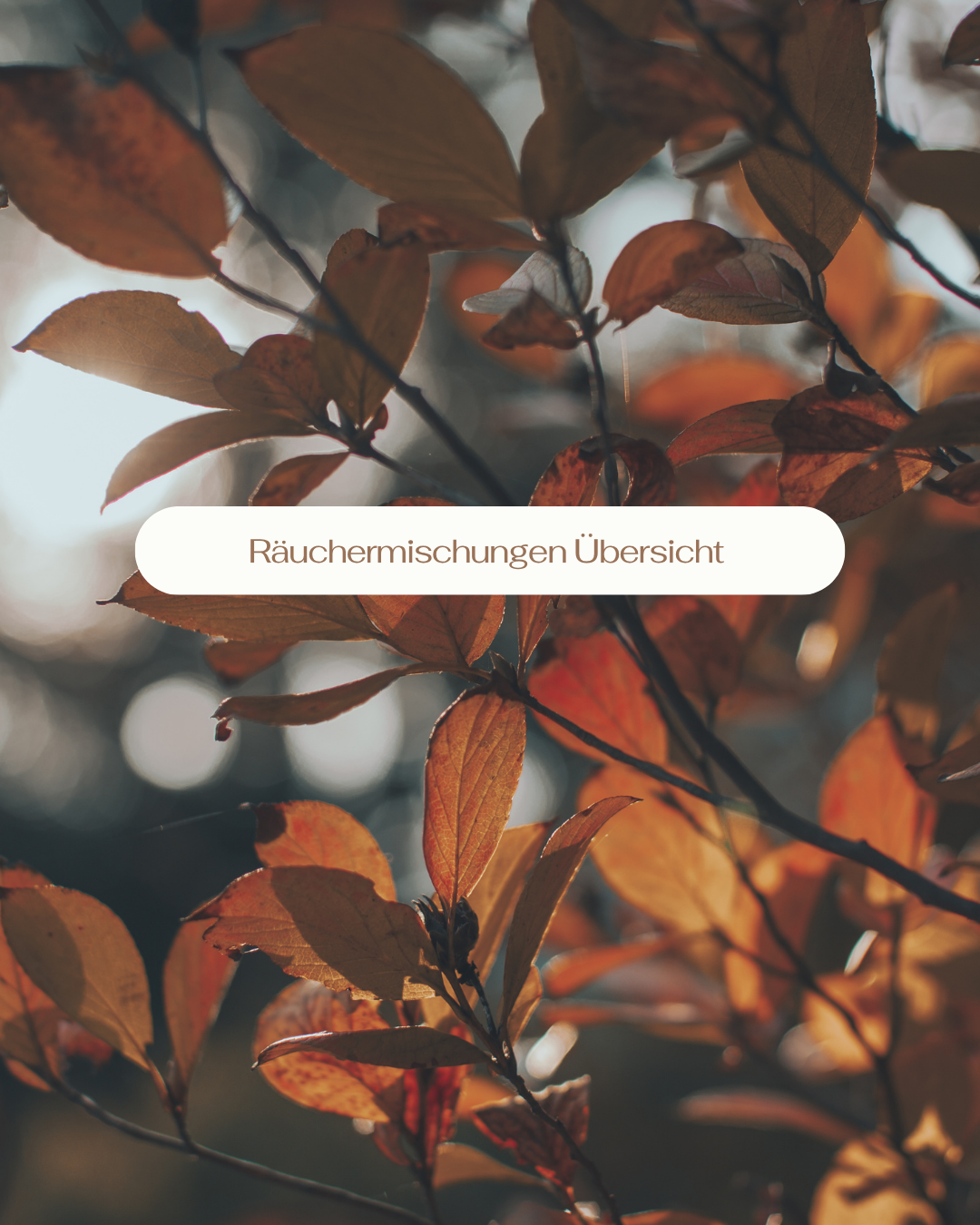 Räuchermischung für den Herbst und wärmender Raumduft für den Winter online kaufen im Seelenheil Shop – natürliche Kräuter und Harze für mehr Wohlbefinden, Gemütlichkeit und spirituelle Rituale.