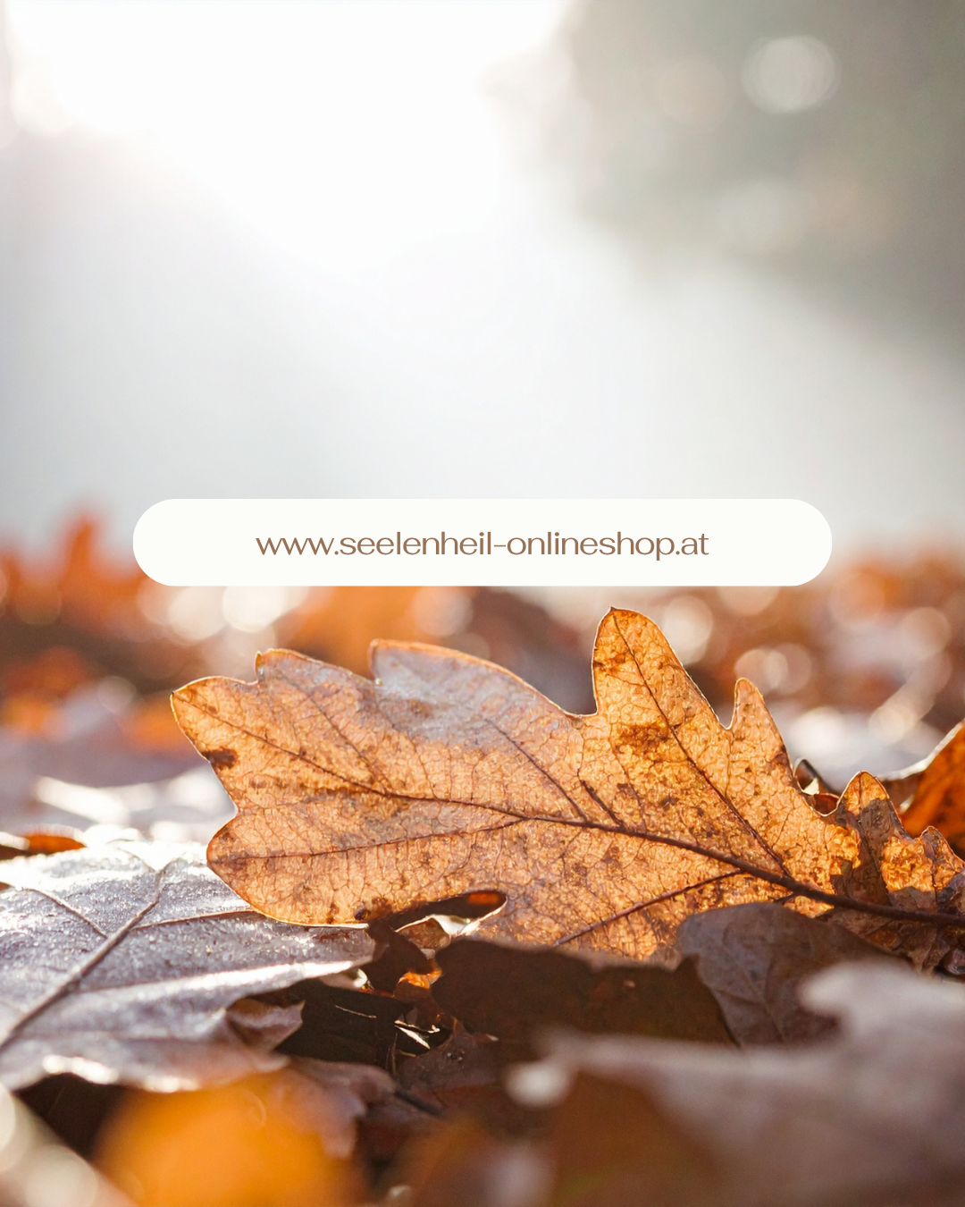 Natürliche Räuchermischung für den Herbst und wärmender Raumduft für den Winter online kaufen im Seelenheil Shop – Achtsamkeit im Alltag stärken, spirituell leben und das Wohlbefinden steigern durch bewusste Rituale.