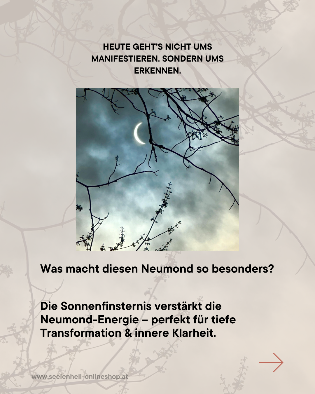  Edelsteine kaufen im österreichischen Onlineshop – hochwertig, energetisch & achtsam