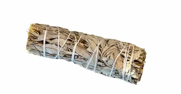 Weißer Salbei Kräuterbündel – ca. 15 cm | Zur energetischen Reinigung und Räucherung