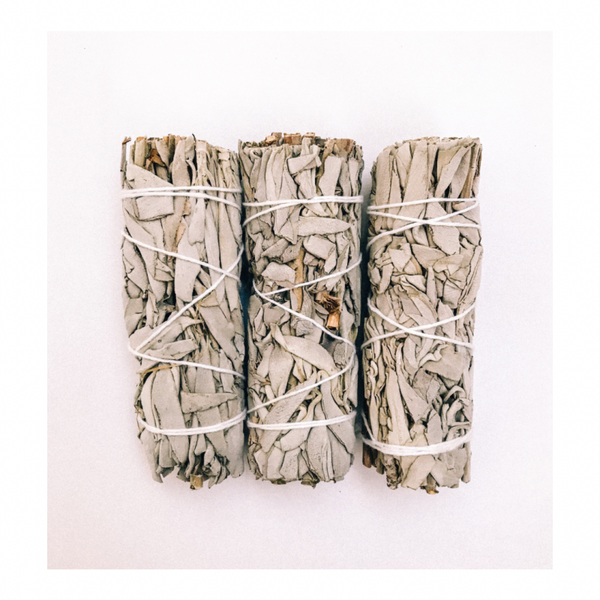 Weißer Salbei Kräuterbündel – ca. 15 cm | Zur energetischen Reinigung und Räucherung