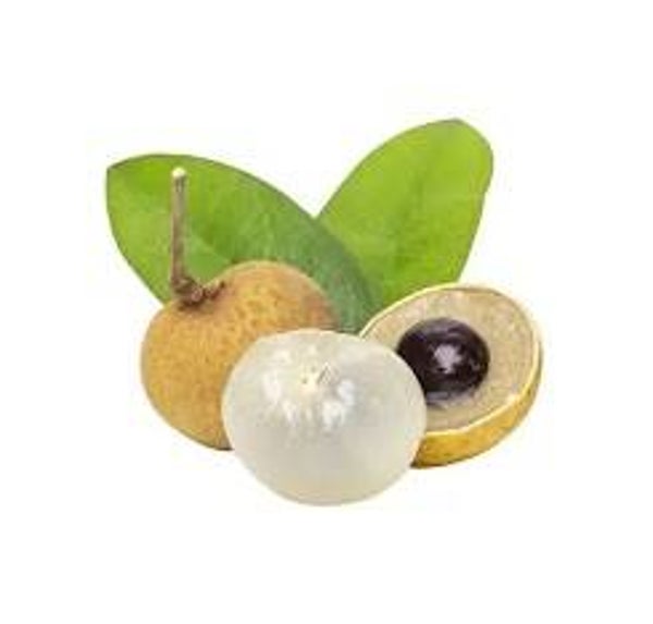 Longan( Chitti Munjalu)