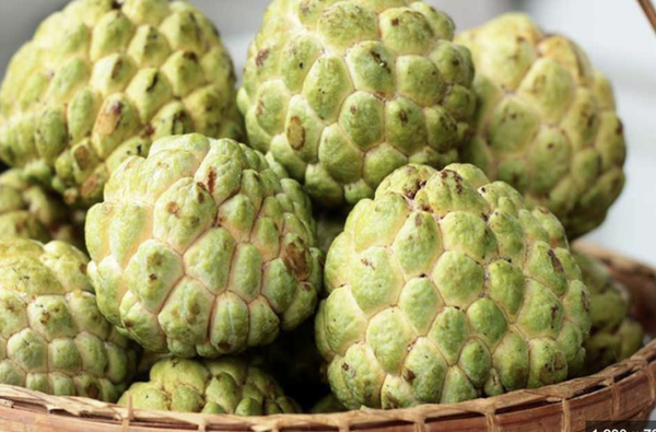 Sithaphal(Custard Apple/Sugar Apple)