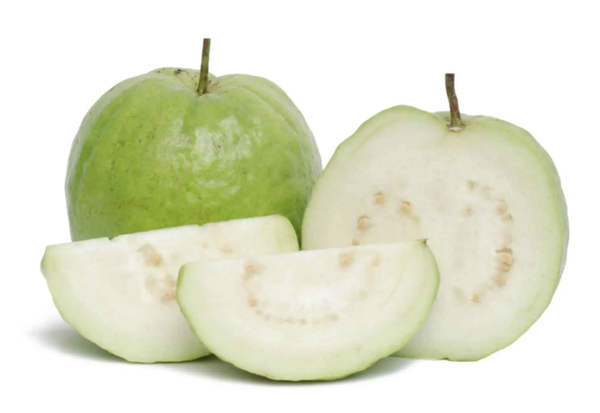 Guava ( Thai Variety)