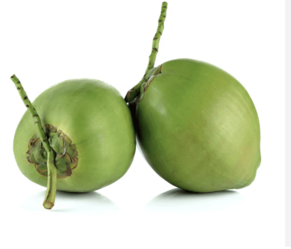 Green Coconuts Premium Variety