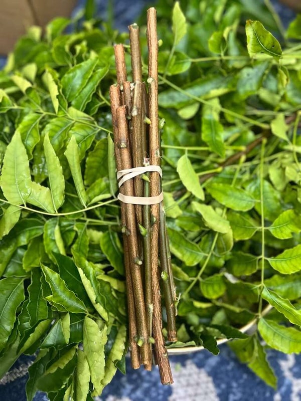 Neem Sticks-per Stick