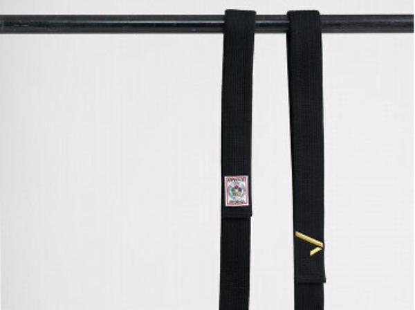 Ippon Gear Legend IJF judoband