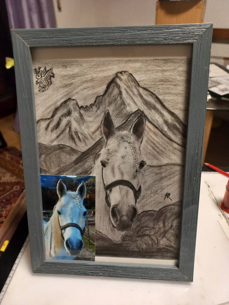 Heikes Pferd, ein wunderschöner Schimmel vor dem majestätischem Watzmann