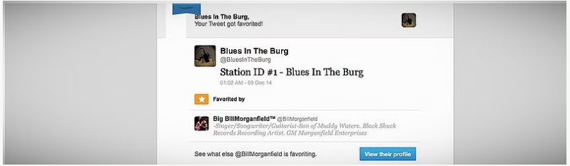 Blues In The Burg, Favorited, Blues Artist, Big Bill Morganfield, The Son of Blues Icon Muddy Waters
