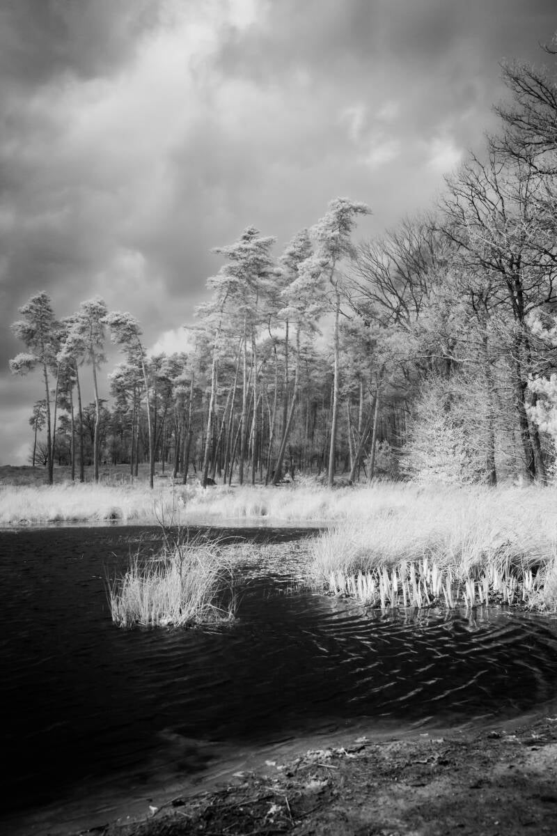 Infrared photo of a pool in a forest with dramatic sky / Infrarood foto van een poel in het bos met dramatische lucht