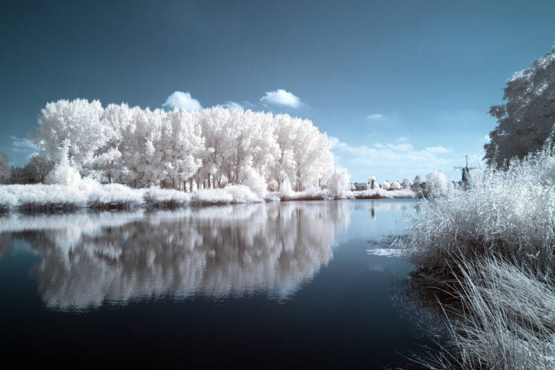 Surreal infrared nature photography photo/ surrealistisch infrarood natuur fotografie  