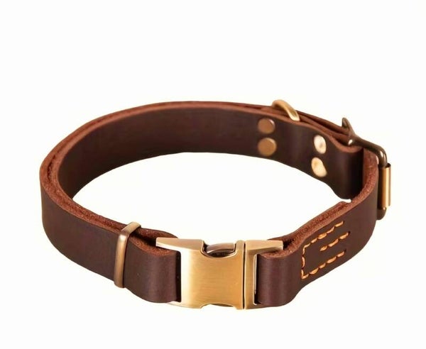 Collier pour chien en cuir véritable – Boucle métallique à dégagement rapide 🐾