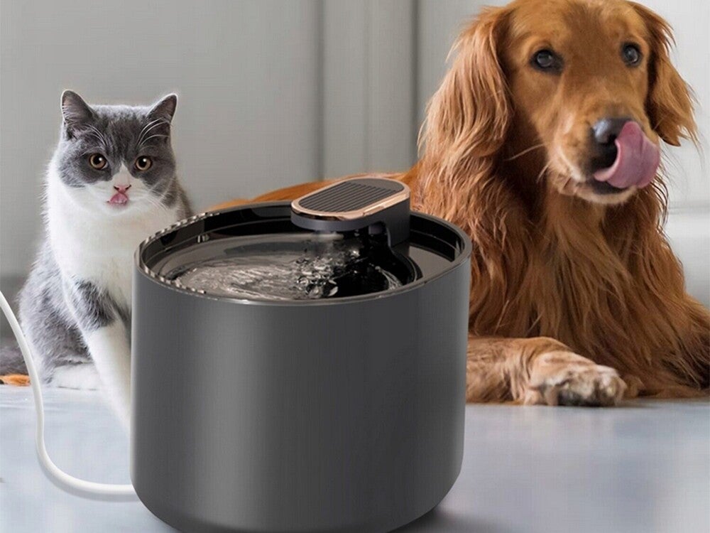 Fontaine à eau filtrante 3 L pour chien & chat – Silencieuse USB 🐾💧