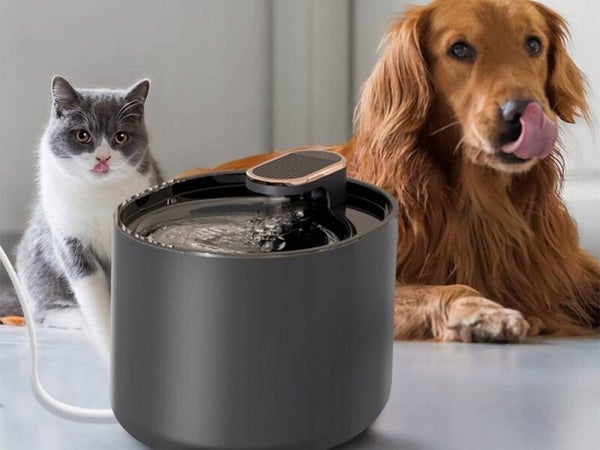 Fontaine à eau filtrante 3 L pour chien & chat – Silencieuse USB 🐾💧