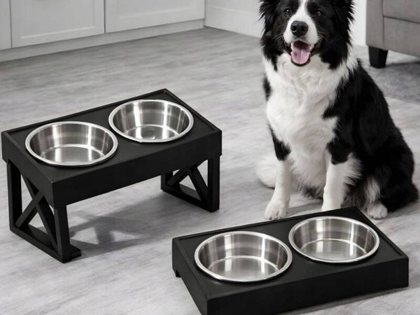 GAMELLE SURÉLEVÉE DOUBLE POUR CHIEN ET CHAT SUR PIED – 2 GRANDES GAMELLES EN ACIER INOXYDABLE