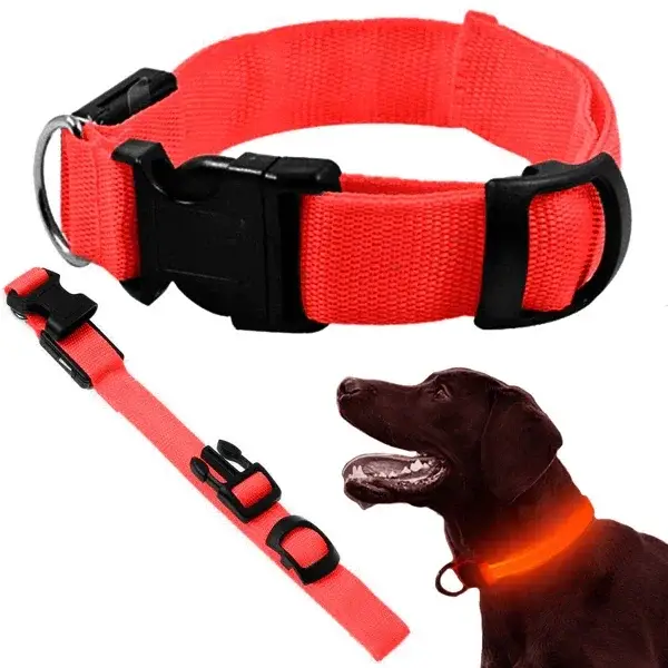 Collier LED lumineux pour chien  – Ajustable 46 à 59 cm 🔴🔵🟢