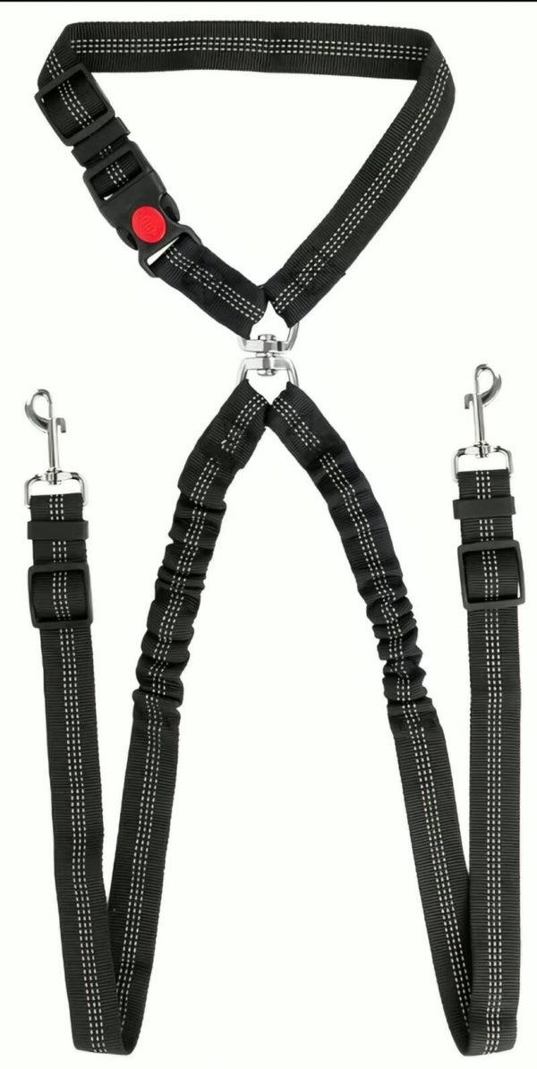 Ceinture de sécurité double pour chien – Extensible 45 à 66 cm