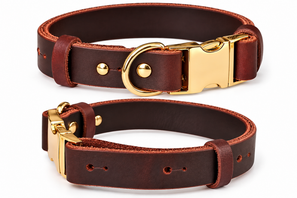 Collier pour chien en cuir véritable – Boucle métallique à dégagement rapide 🐾