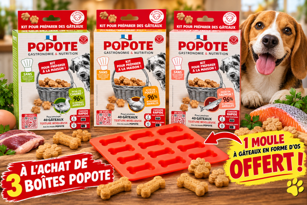 3 boîtes POPOTE, votre moule à gâteaux en forme d’os est OFFERT ! 🎁🦴